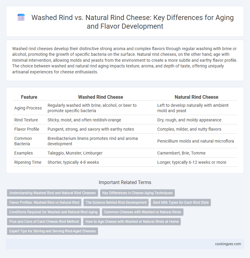 Washed Rind vs. Natural Rind Cheese: Key Differences for Aging and Flavor Development