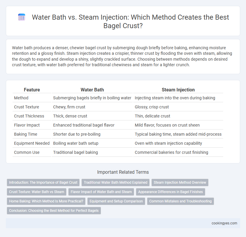 Water Bath vs. Steam Injection: Which Method Creates the Best Bagel Crust?