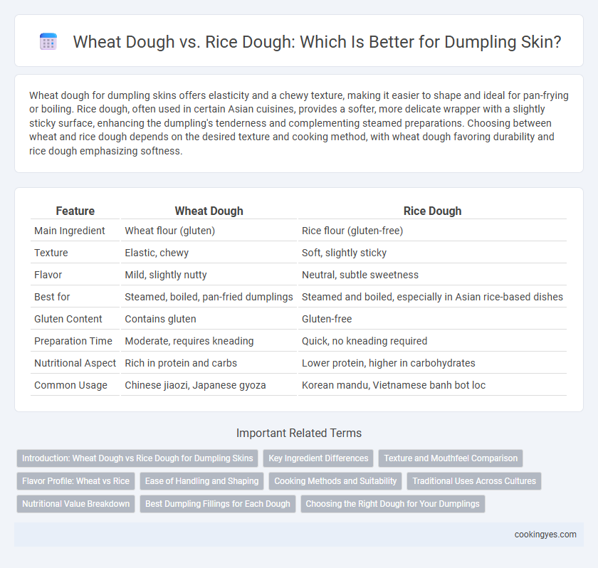 Wheat Dough vs. Rice Dough: Which Is Better for Dumpling Skin?