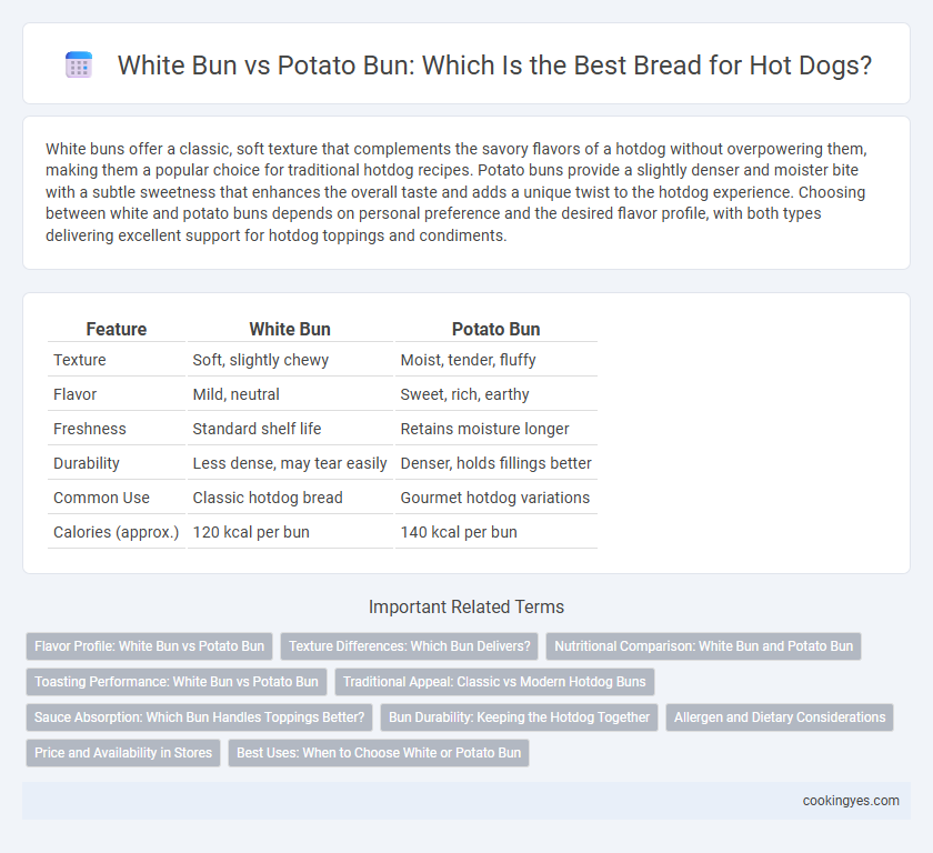 White Bun vs Potato Bun: Which Is the Best Bread for Hot Dogs?