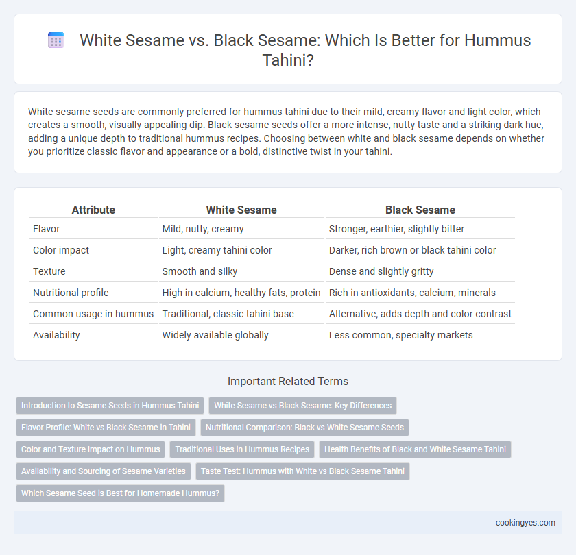 White Sesame vs. Black Sesame: Which Is Better for Hummus Tahini?