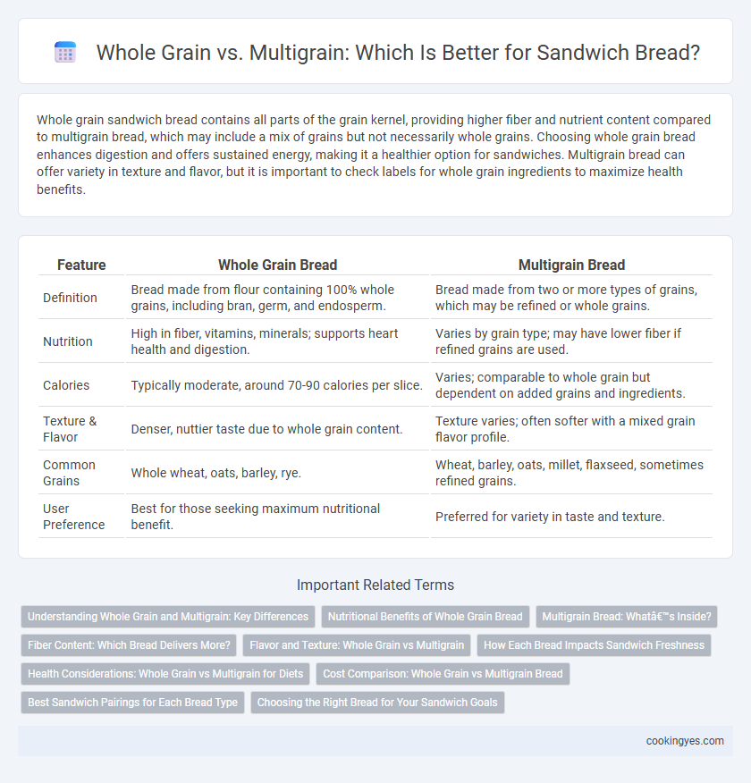 Whole Grain vs. Multigrain: Which Is Better for Sandwich Bread?