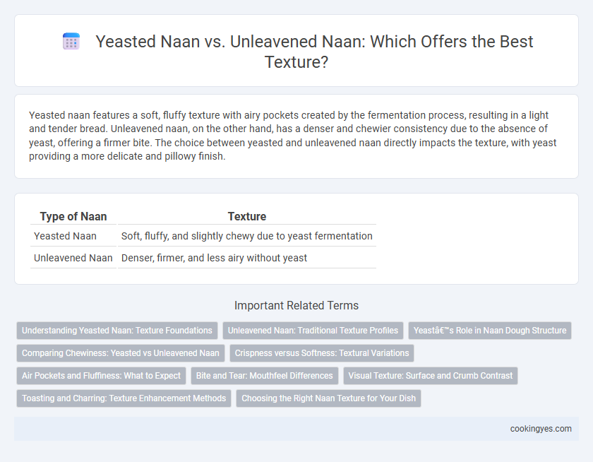 Yeasted Naan vs. Unleavened Naan: Which Offers the Best Texture?