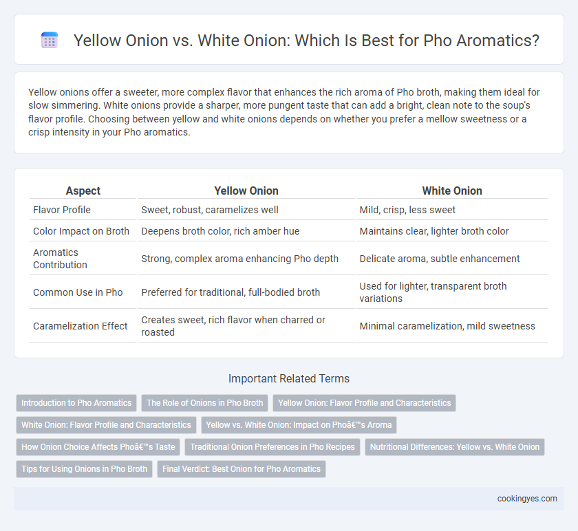 Yellow Onion vs. White Onion: Which Is Best for Pho Aromatics?