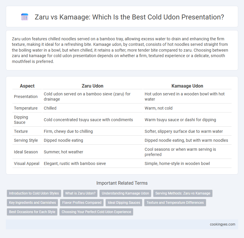 Zaru vs Kamaage: Which Is the Best Cold Udon Presentation?